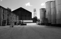 Buffalo Trace